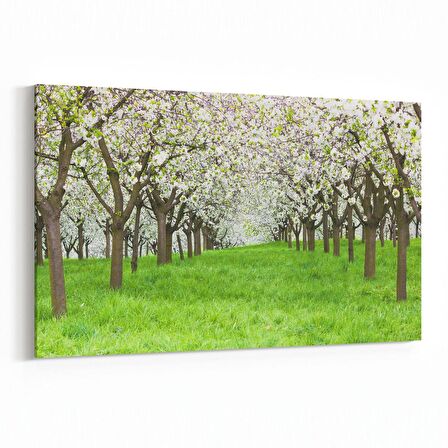 Olla 14628Y Doğa / Manzara Görseli Yatay Kanvas Tablo (Ölçü: 45X30)