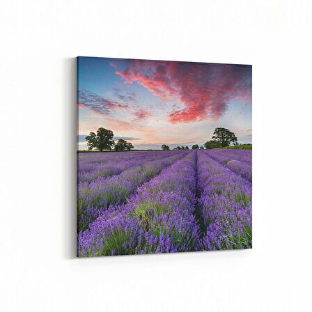 Olla 14109K Doğa / Manzara Görseli Kare Kanvas Tablo (Ölçü: 25X25)