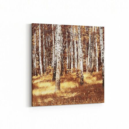 Olla 14095K Doğa / Manzara Görseli Kare Kanvas Tablo (Ölçü: 60X60)