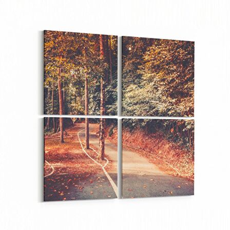 Olla 14454K4 Doğa / Manzara Görseli Kare 4'lü Kanvas Tablo (Ölçü: 145X145)