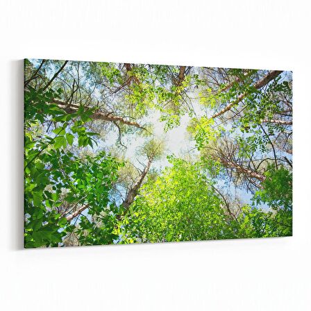 Olla 10619Y Ağaç Görseli Yatay Kanvas Tablo (Ölçü: 150X100)