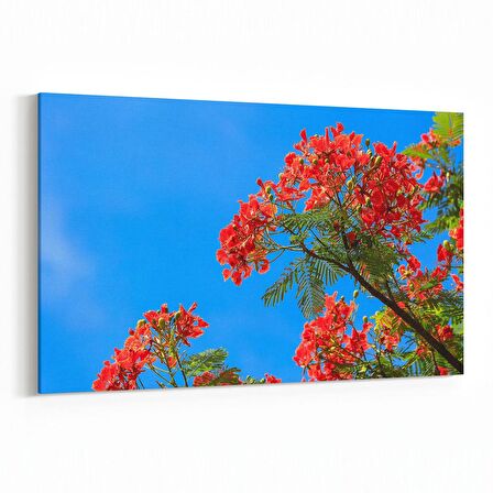 Olla 10882Y Ağaç Görseli Yatay Kanvas Tablo (Ölçü: 45X30)