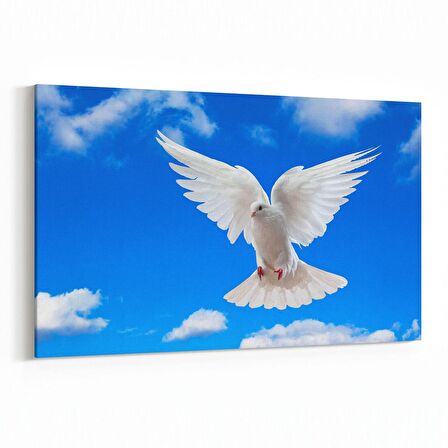 Olla 15886Y Gökyüzü Kuşlar Görseli Yatay Kanvas Tablo (Ölçü: 90X60)