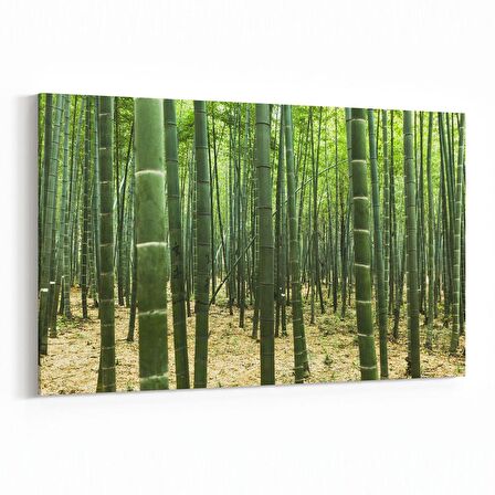 Olla 14182Y Doğa / Manzara Görseli Yatay Kanvas Tablo (Ölçü: 45X30)