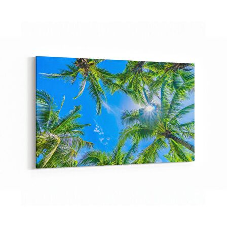 Olla 11529Y Palmiye Ağacı Görseli Yatay Kanvas Tablo (Ölçü: 120X80)