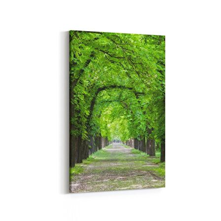 Olla 14389D Doğa / Manzara Görseli Dikey Kanvas Tablo (Ölçü: 70X105)
