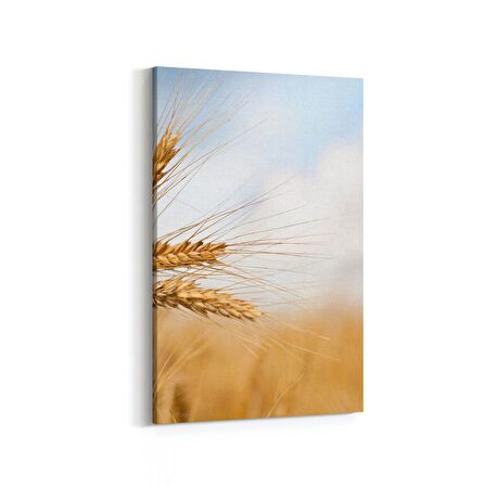 Olla 15241D Gıda Görseli Dikey Kanvas Tablo (Ölçü: 20X30)
