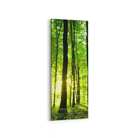 Olla 13250DI Doğa / Manzara Görseli Dikey İnce Kanvas Tablo (Ölçü: 40X120)