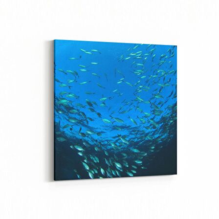 Olla 12972K Deniz / Okyanus Görseli Kare Kanvas Tablo (Ölçü: 25X25)