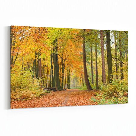 Olla 14341Y Doğa / Manzara Görseli Yatay Kanvas Tablo (Ölçü: 120X80)