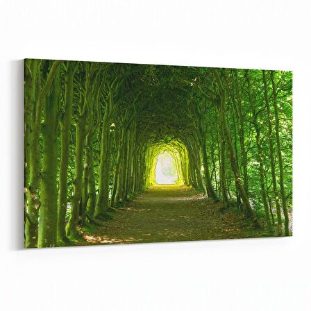 Olla 13688Y Doğa / Manzara Görseli Yatay Kanvas Tablo (Ölçü: 120X80)