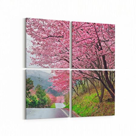 Olla 13692K4 Doğa / Manzara Görseli Kare 4'lü Kanvas Tablo (Ölçü: 145X145)