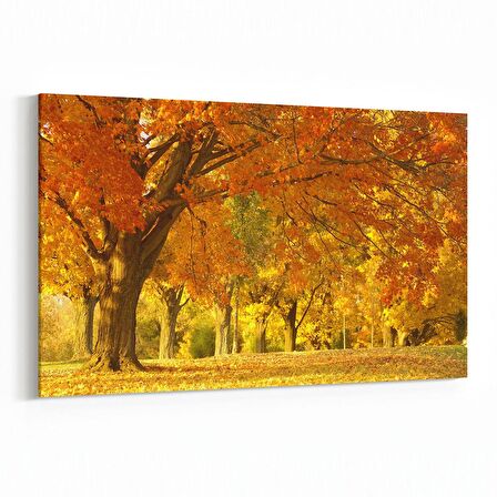 Olla 13714Y Doğa / Manzara Görseli Yatay Kanvas Tablo (Ölçü: 120X80)