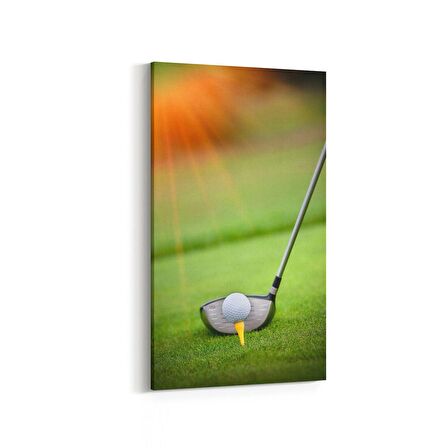 Olla 17111DD Spor Görseli Dikey Dar Kanvas Tablo (Ölçü: 30X60)