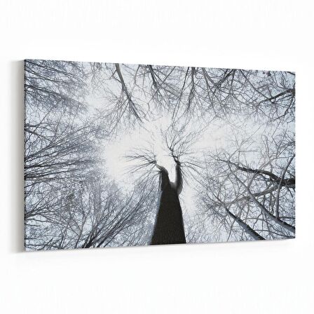 Olla 11046Y Ağaç Görseli Yatay Kanvas Tablo (Ölçü: 30X20)