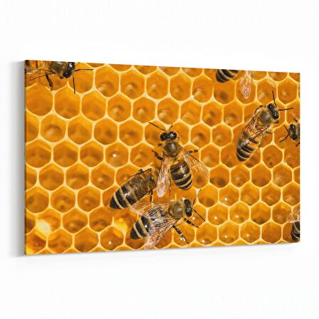 Olla 12620Y Hayvanlar Alemi Görseli Yatay Kanvas Tablo (Ölçü: 120X80)