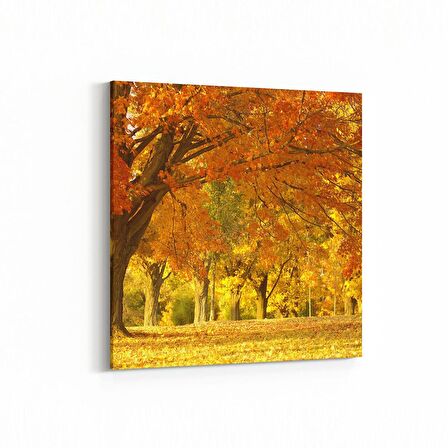 Olla 13714K Doğa / Manzara Görseli Kare Kanvas Tablo (Ölçü: 30X30)