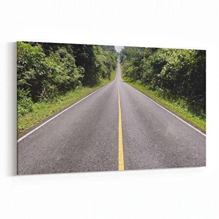 Olla 13896Y Doğa / Manzara Görseli Yatay Kanvas Tablo (Ölçü: 90X60)