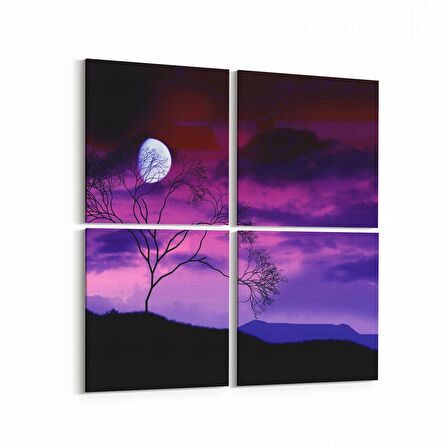Olla 15959K4 Günbatımı Görseli Kare 4'lü Kanvas Tablo (Ölçü: 105X105)