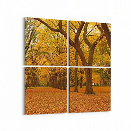 Olla 14541K4 Doğa / Manzara Görseli Kare 4'lü Kanvas Tablo (Ölçü: 65X65)