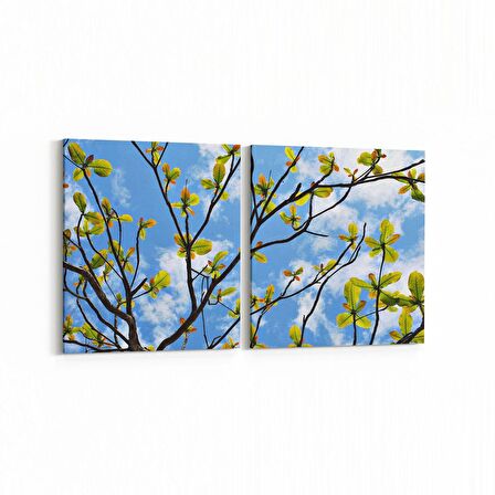 Olla 10753K2Y Ağaç Görseli Kare 2'li Yatay Kanvas Tablo (Ölçü: 85X40)