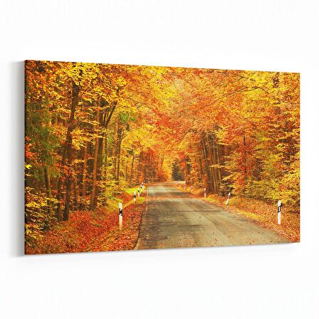 Olla 13597Y Doğa / Manzara Görseli Yatay Kanvas Tablo (Ölçü: 90X60)