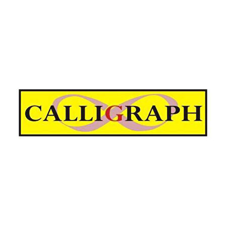 Calligraph T6641/6731(70Ml) Muadil Siyah Mürekkep
