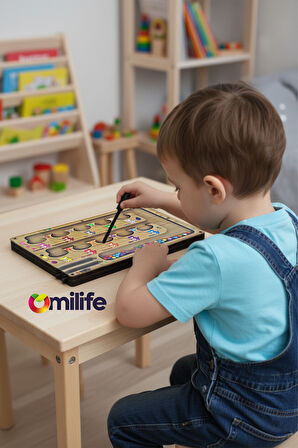 Manyetik Renkli Sayma ve Eşleştirme Labirenti - Ahşap Montessori Oyuncağı, 3-5 Yaş Çocuklar için Eğitici, Eğlenceli ve Taşınabilir Manyetik Boncuk Oyun Seti