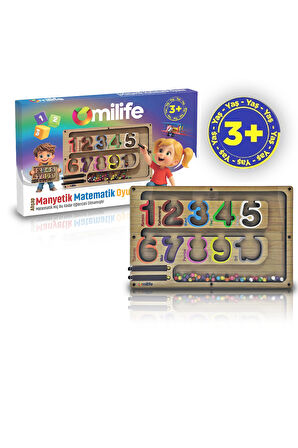 Manyetik Renkli Sayma ve Eşleştirme Labirenti - Ahşap Montessori Oyuncağı, 3-5 Yaş Çocuklar için Eğitici, Eğlenceli ve Taşınabilir Manyetik Boncuk Oyun Seti