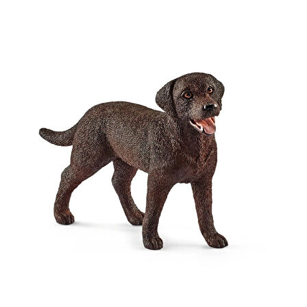 Kız Erkek Çocuk Oyuncak 13834 Schleich - Dişi Labrador Retriever +3 yaş Kız Erkek Çocuk Oyuncak Eğit