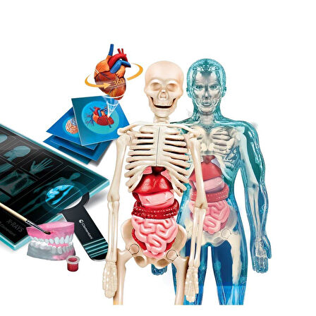 Kız Erkek Çocuk Oyuncak 64474 Bilim ve Oyun - Süper Anatomi +8 yaş Kız Erkek Çocuk Oyuncak Eğitici E