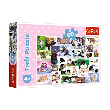 Kız Erkek Çocuk Oyuncak 17332 Trefl/60 PUZZLE CATS WORLD YAPBOZ Kız Erkek Çocuk Oyuncak Eğitici Eğle