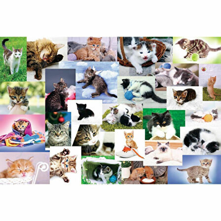 Kız Erkek Çocuk Oyuncak 17332 Trefl/60 PUZZLE CATS WORLD YAPBOZ Kız Erkek Çocuk Oyuncak Eğitici Eğle