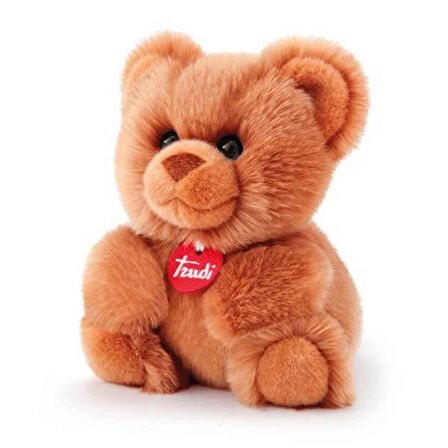 Kız Erkek Çocuk Oyuncak Trudi Peluş Ayı 20cm Kız Erkek Çocuk Oyuncak Eğitici Eğlenceli Oyuncak