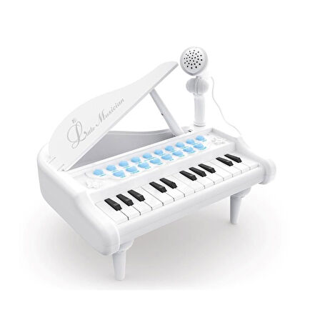 Kız Erkek Çocuk Oyuncak Mikrofonlu 24 Tuşlu Piyano MP3 (Pembe,Siyah,Beyaz) Kız Erkek Çocuk Oyuncak E