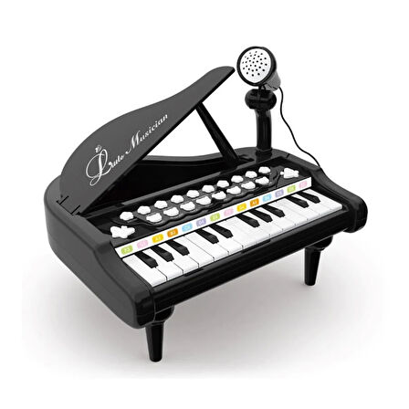 Kız Erkek Çocuk Oyuncak Mikrofonlu 24 Tuşlu Piyano MP3 (Pembe,Siyah,Beyaz) Kız Erkek Çocuk Oyuncak E