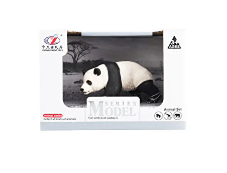 Kız Erkek Çocuk Oyuncak Kutulu Model Yürüyen Panda Kız Erkek Çocuk Oyuncak Eğitici Eğlenceli Oyuncak