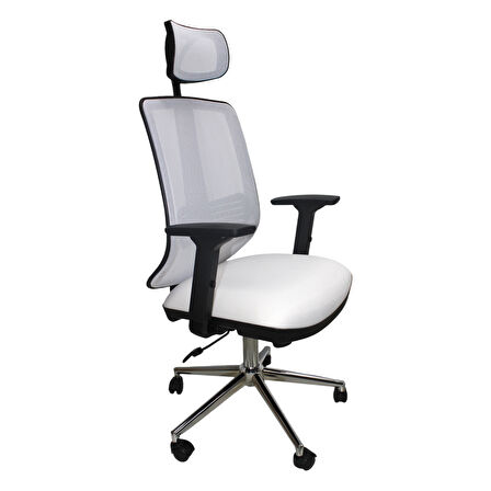 ONİX MÜDÜR KOLTUĞU