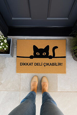 Kedili Paspas Kapı Önü Paspası Kitty Kapı Önü Kaymaz Paspas Toz Alıcı Kapı Paspas    