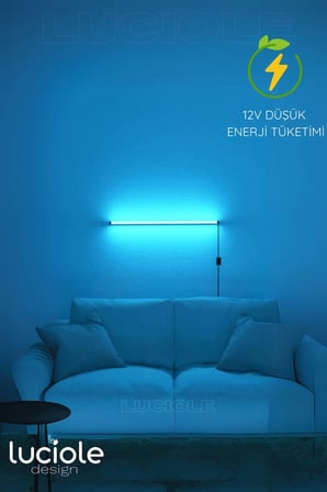 Onerous 16 Renk LED LED Işık, 4 Animasyon