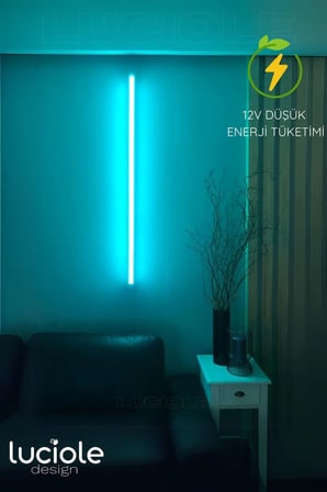 Onerous 1 m RGB Tüp LED Lambader, Uzaktan Kumandalı, Parlaklık Ayarlı