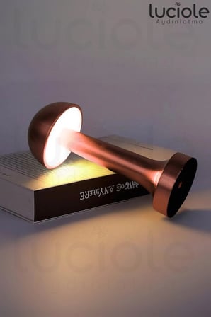 Onerous Mantar Rose Gold Dokunmatik 3 Renk Şarjlı LED Masa Lambası