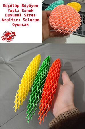 Fidget Solucan - Stres Azaltıcı Oyuncak - 1 Adet