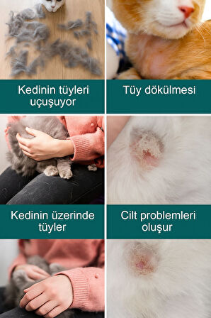 DostTarak-Tüy Açıcı Kedi Köpek Tarağı Tek Taraflı Metal Dişli Evcil Hayvan Bakım Fırçası
