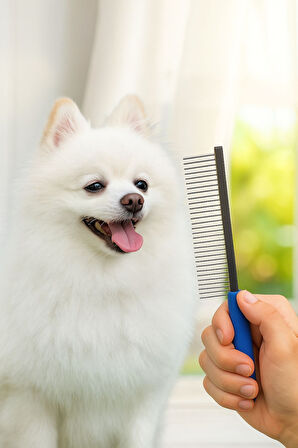 DostTarak-Tüy Açıcı Kedi Köpek Tarağı Tek Taraflı Metal Dişli Evcil Hayvan Bakım Fırçası