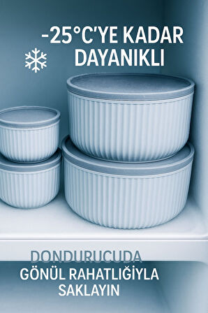 4'lü Kapaklı Gıda Saklama Kabı Seti – Mikrodalga ve Difrize Uygun