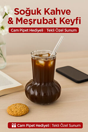 1 Adet Premium Cam Bardak Cam Pipet Hediyeli– Soğuk Kahve, Limonata ve Soda Sunumlar 500 ml