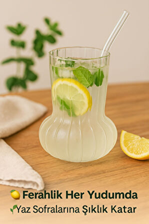 1 Adet Premium Cam Bardak Cam Pipet Hediyeli– Soğuk Kahve, Limonata ve Soda Sunumlar 500 ml