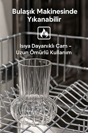 2 Adet Premium Cam Bardak Cam Pipet Hediyeli– Soğuk Kahve, Limonata ve Soda Sunumlar 500 ml