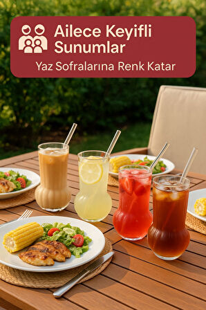 6 Adet Premium Cam Bardak Cam Pipet Hediyeli– Soğuk Kahve, Limonata ve Soda Sunumlar 500 ml